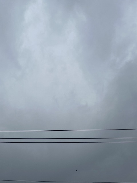 本日雨の為お休みです。