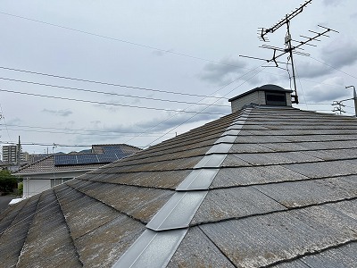 春日井市　外壁塗装　屋根苔