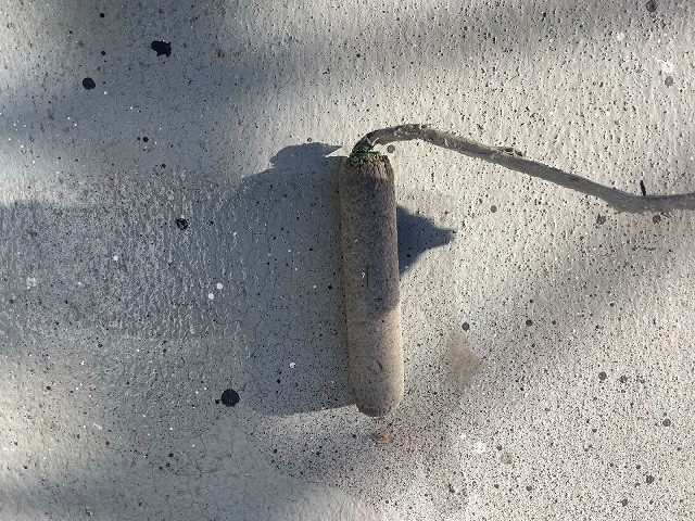 春日井市G町 U様邸 外壁塗装工事・シーリング工事・防水工事