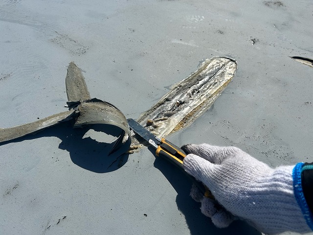 春日井市H町　I様邸　外壁塗装工事・シーリング工事・防水工事